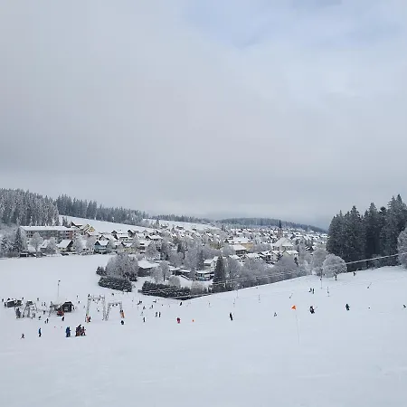 Ferienhaus Sonnengelb im Herzen des Schwarzwaldes Schönwalde Exterior foto