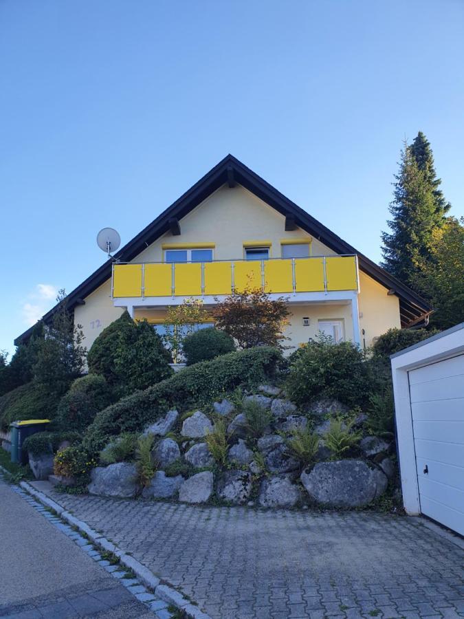 Sonnengelb Im Herzen Des Schwarzwaldes *