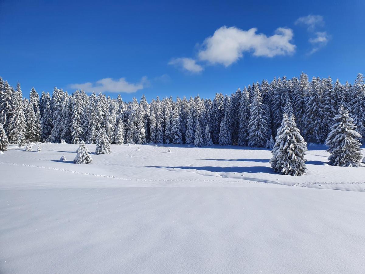 Casa vacanze Sonnengelb Im Herzen Des Schwarzwaldes