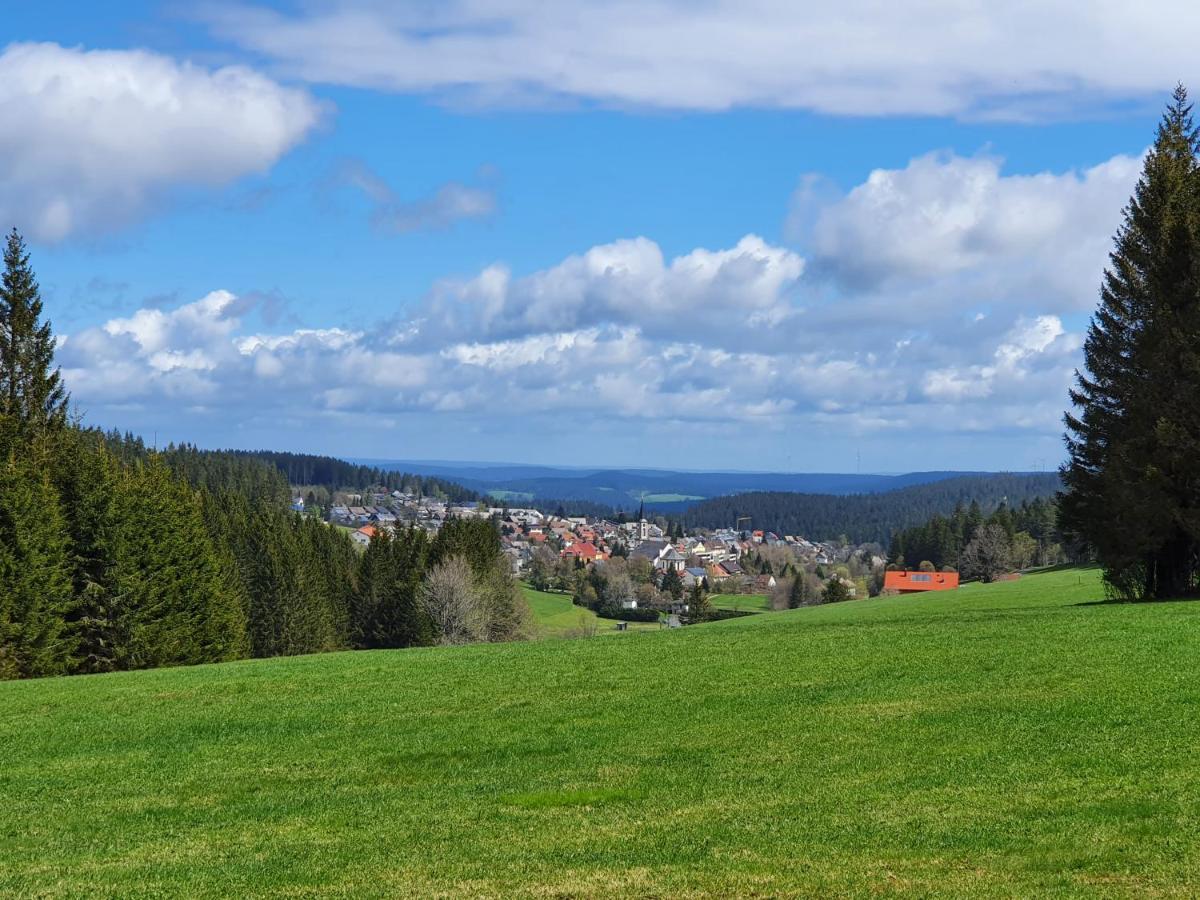 Casa vacanze Sonnengelb Im Herzen Des Schwarzwaldes Schönwalde