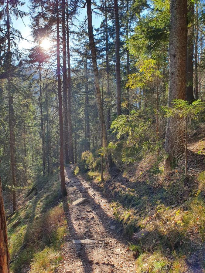Sonnengelb Im Herzen Des Schwarzwaldes Ferienhaus Schönwalde