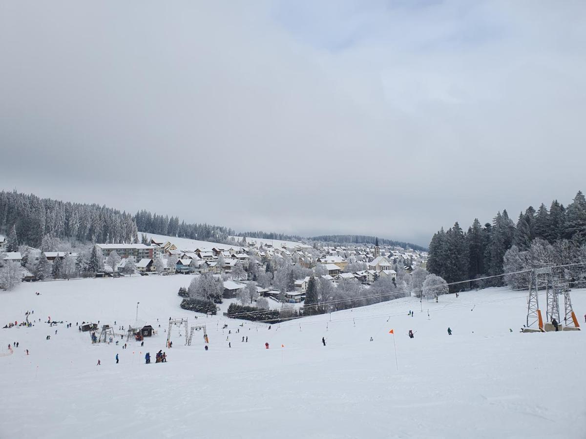Sonnengelb Im Herzen Des Schwarzwaldes *